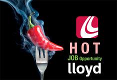 Lloyd Staffing logo