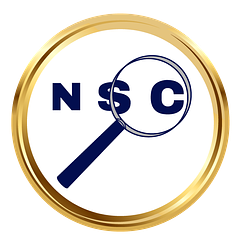 NetSysCon Consulting logo